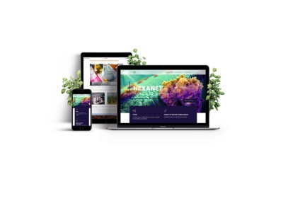Tudományos honlap tervezése, weblap design pályázathoz